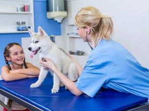 深圳市寶安民治寵物120急救中心 低價(jià)專業(yè)服務(wù)，守護(hù)寵物健康